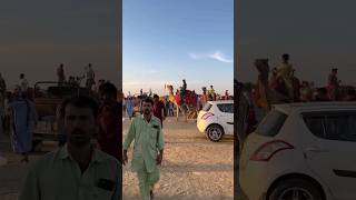 Jaisalmer  Sam Sand Dunes  Camel Safari shorts jaisalmer rajasthan tour samsanddunes🐪short [upl. by Aronoh]