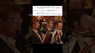 Elgar Symphony No 1 – Movement 2 Excerpt [upl. by Caine464]