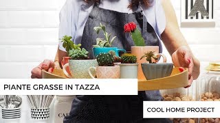 JUNGALOW PIANTE GRASSE IN TAZZA  DIY a succulent teacup garden [upl. by Sisile]