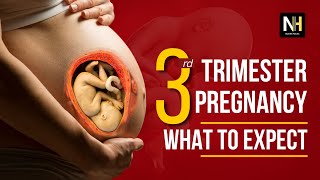 Third Trimester Pregnancy Essential Tips and Insights [upl. by Modnarb306]