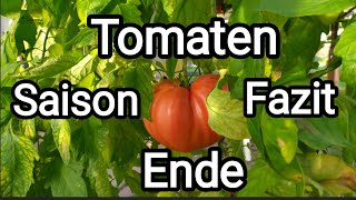 Tomaten 🍅 Saison Ende Oktober Fazit 210 Tage nach Aussaat [upl. by Jelsma737]