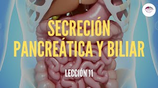 11 LA SECRECIÓN PANCREÁTICA Y BILIAR ESTRUCTURA Y FUNCIÓN DEL SISTEMA DIGESTIVO [upl. by Ainoda]