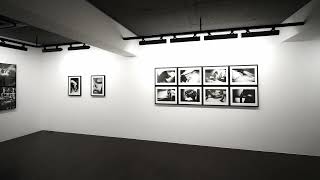 【ONLINE Exhibition】No43 Daido Moriyama 森山大道 TOKYO at Akio Nagasawa Gallery Ginza [upl. by Oigolue]