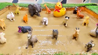 Adorable Farm Animals amp Safari Zoo Animals Fun in the Mud 🐐🌿 Toddlers Adventure [upl. by Roselba637]