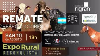 1404 B2  1008 REMATE EN SOCIEDAD RURAL [upl. by Chaney]