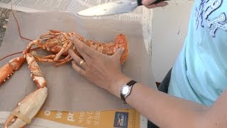 How to Prepare a cooked lobster [upl. by Noisla]