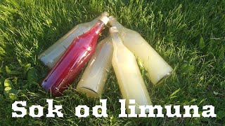 Domaći Sok Od Limuna Lemon Juice [upl. by Ettenyl]