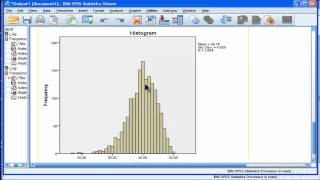 Kurtosis  SPSS part 2 [upl. by Chu]