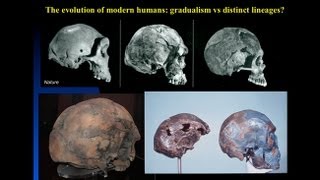 CARTA The Origin of Us  Fossils of Modern Humans Interbreeding within and outside of Africa [upl. by Aihgn714]