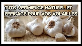 TUTO  Comment faire un vermifuge simple naturel et efficace [upl. by Harol]