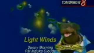 Triumph The Insult Comic Dog Does Weather in Hawaii [upl. by Marino]