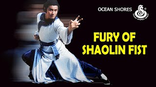 Wu Tang Collection  Fury of Shaolin Fist [upl. by Ainosal483]