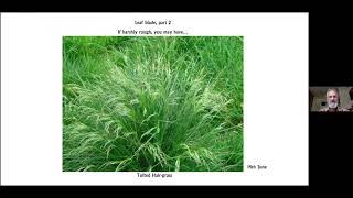 Key Features of Grasses Useful for Identification [upl. by Doble]