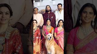 Ambani family s dog intresting facts  ytshort  shorts  youtube [upl. by Nina]