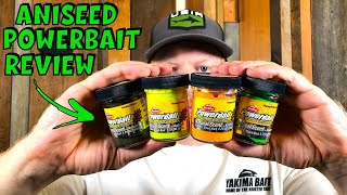 Aniseed Trout Powerbait Review amp 5 Tips to Catch More Trout [upl. by Alita425]