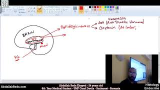 الهرمونات الخاصة بالغدة النخامية Pituitary hormones part 1  عبد الله رضا MD  Rocademia روكاديميا [upl. by Maurice]