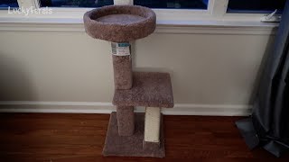 The Cats Just Got A New Cat Tower Initial Cat Reactions [upl. by Sella]