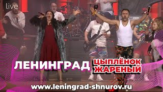 Ленинград — Цыпленок жареный [upl. by Bowers]