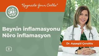 Beynin inflamasyonu ve Nöro inflamasyon  Dr Ayşegül Çoruhlu [upl. by Castora]