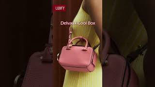 5 Delvaux Bags That Are Worth Collecting shorts [upl. by Ynelram]