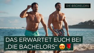 Die ROSENREISE beginnt amp das erwartet euch 🌹 I Die Bachelors [upl. by Honna]