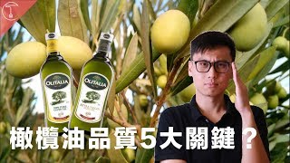 特級初榨？純橄欖油？教你一次弄懂橄欖油分級｜克里斯丁聊料理 [upl. by Rediah]