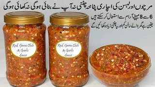 Chatpati Lahsun ki Chatni  Mirch or lahsan ki chatni  Chili Garlic sauce  Chutney  achar chatni [upl. by Kreda]