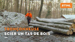 Scier un tas de bois  STIHL Tronçonneuses [upl. by Ahsitak]