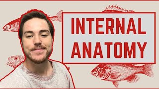 Ichthyology Lesson 4  Internal Anatomy [upl. by Giorgio400]