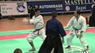 Mondiali ITKF Treviso 1994 [upl. by Tabitha]