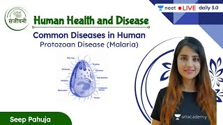 Common Diseases in Human  Protozoan Disease Malaria  Human Health and Disease  L9  Seep Pahuja [upl. by Hourigan]