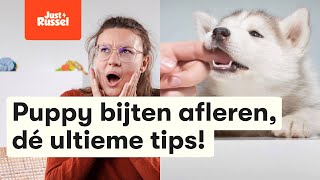 Puppy bijten afleren dé ultieme tips [upl. by Charissa]