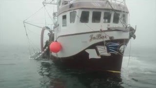 Pêche au hareng à la senne  Herring fishing Blanc Sablon BasseCôteNord du Québec [upl. by Thomas136]