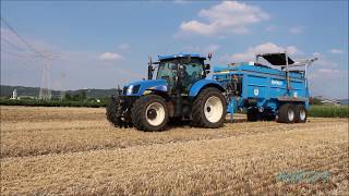 SPANDIMENTO LETAME 2018  NEWHOLLAND T6050  RENMARK  AZ AGR STOCCHERO [upl. by Mercy]