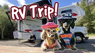 The Dogs Go On a RV CAMPING TRIP [upl. by Aeli]