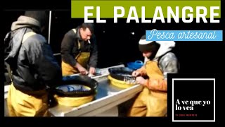 👌Pesca con PALANGRE 【Pesca artesanal en Conil  Cádiz】 [upl. by Manoff184]