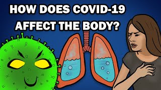 HOW DOES COVID19 AFFECT THE BODY [upl. by Franci272]