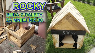 DIY Co można zrobić z PALETY JAK ZROBIĆ BUDĘ Z PALETY DLA PSA [upl. by Ioab626]