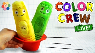 Learn Colors with COLOR CREW Soft Toys for Kids  Color Crew Live  BabyFirst TV [upl. by Lartnom]