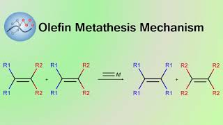 Olefin Metathesis Mechanism  Organic Chemistry [upl. by Pfosi]