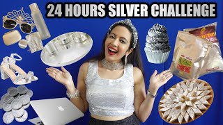 I Used Only SILVER Things For 24 Hours Challenge 🤍 Garimas Good Life [upl. by Quint]