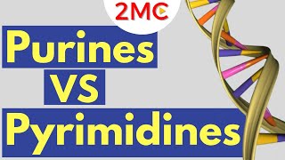 Purines vs Pyrimidines  Understanding Nitrogenous Bases of RNA and DNA [upl. by Nylinnej699]