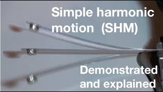 Simple harmonic motion SHM for beginners from fizzicsorg [upl. by Clein996]