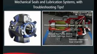 Flowserve eLearning Module Pump and Mechanical Seal Operator Training [upl. by Maretz977]