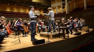 R Strauss Horn Concerto No 1  Royal Stockholm Philharmonic Orchestra  Martin Schöpfer [upl. by Nihi]