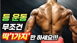 등운동은 1가지만 잘해도 등 상부 광배근 전부 다 커집니다 꼭 이렇게 운동 하세요 [upl. by Noira465]