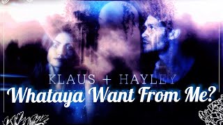 klaus amp hayley  whataya want from me [upl. by Ernestus27]