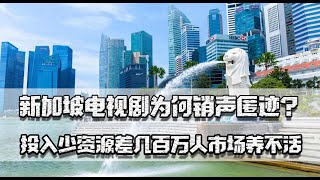 新加坡电视剧为何销声匿迹？投入少资源差，几百万人的市场养不活 [upl. by Jobie209]