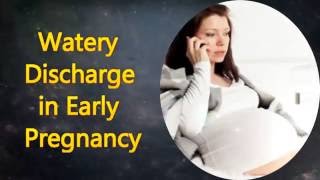 Watery Discharge in Early Pregnancy [upl. by Witcher810]