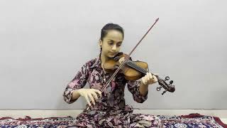 Raag Desh  Bandish  Dekho Sakhi Barsana Violin🎻 fantasticneeti5221 [upl. by Ssac176]